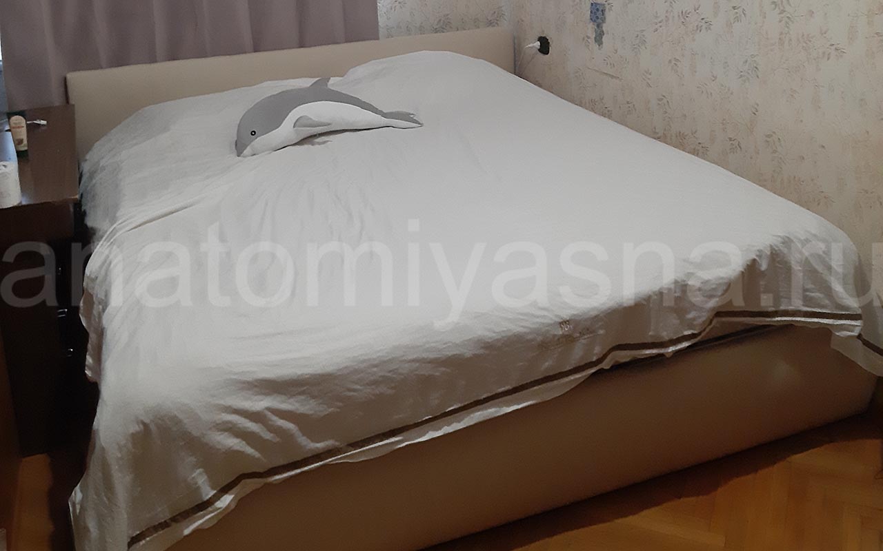 отзыв о Кровать Galaxy Венера 1 без подъемного механизма фото 4